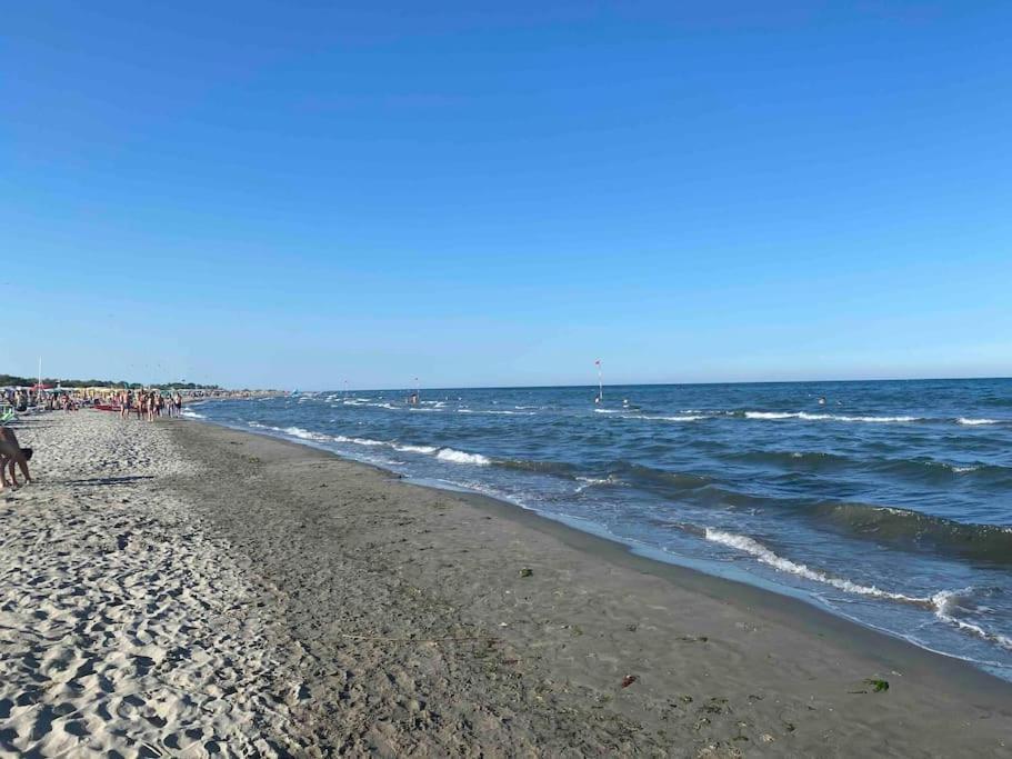 Willa “Casa Alex” A Pochi Km Dal Mare Scardovari Zewnętrze zdjęcie