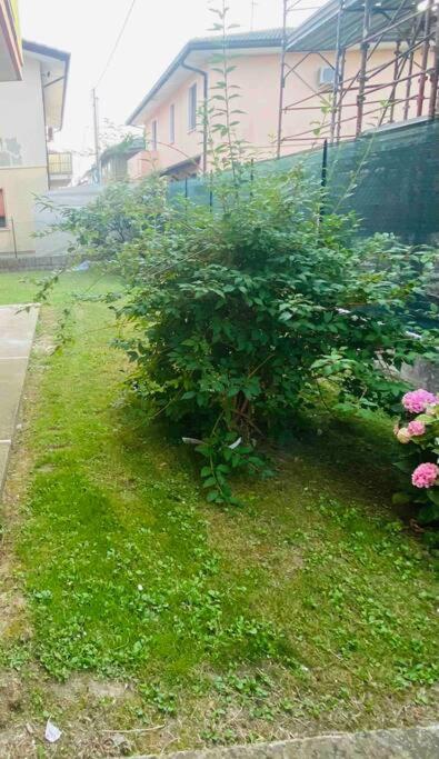 Willa “Casa Alex” A Pochi Km Dal Mare Scardovari Zewnętrze zdjęcie